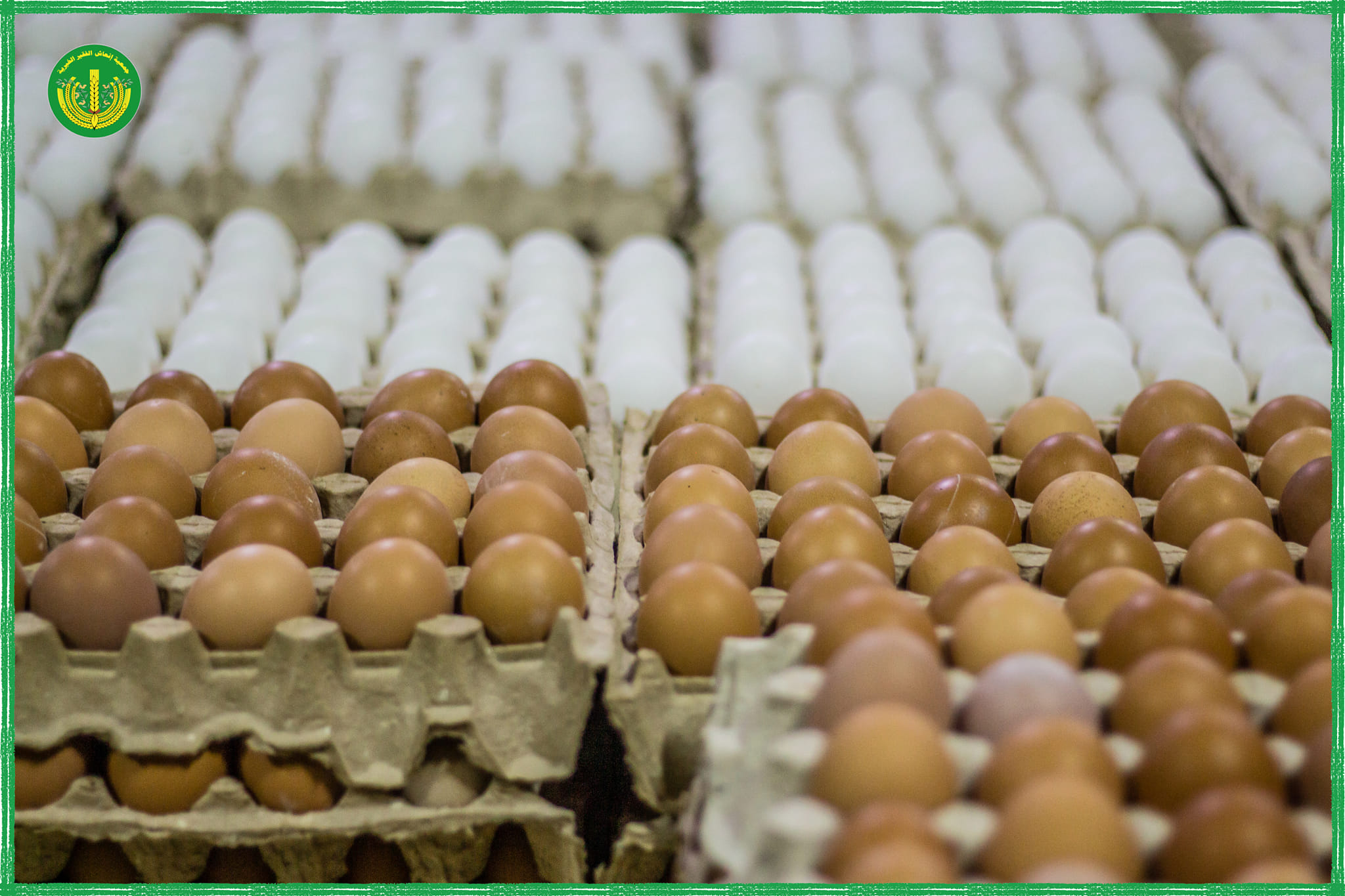 توزيع المساعدات المالية والعينية للشهر السادس